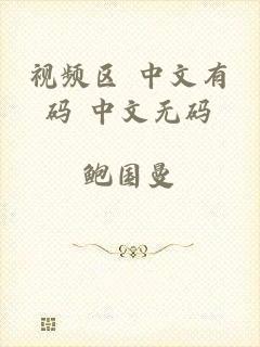 视频区 中文有码 中文无码